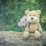 Teddy Day Quotes, Wishes, Status