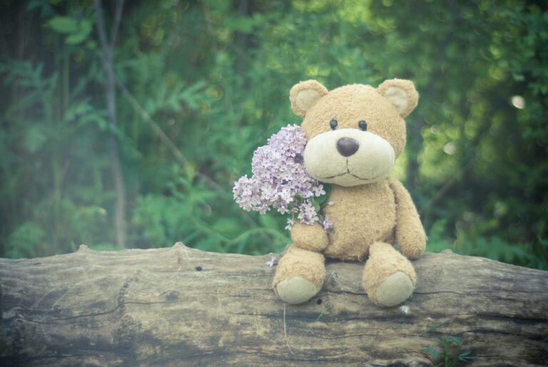 Teddy Day Quotes, Wishes, Status